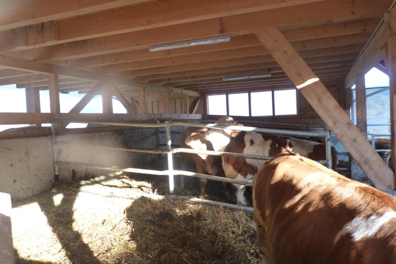 Landgut Wagnerfeld Διαμέρισμα Altmünster Εξωτερικό φωτογραφία