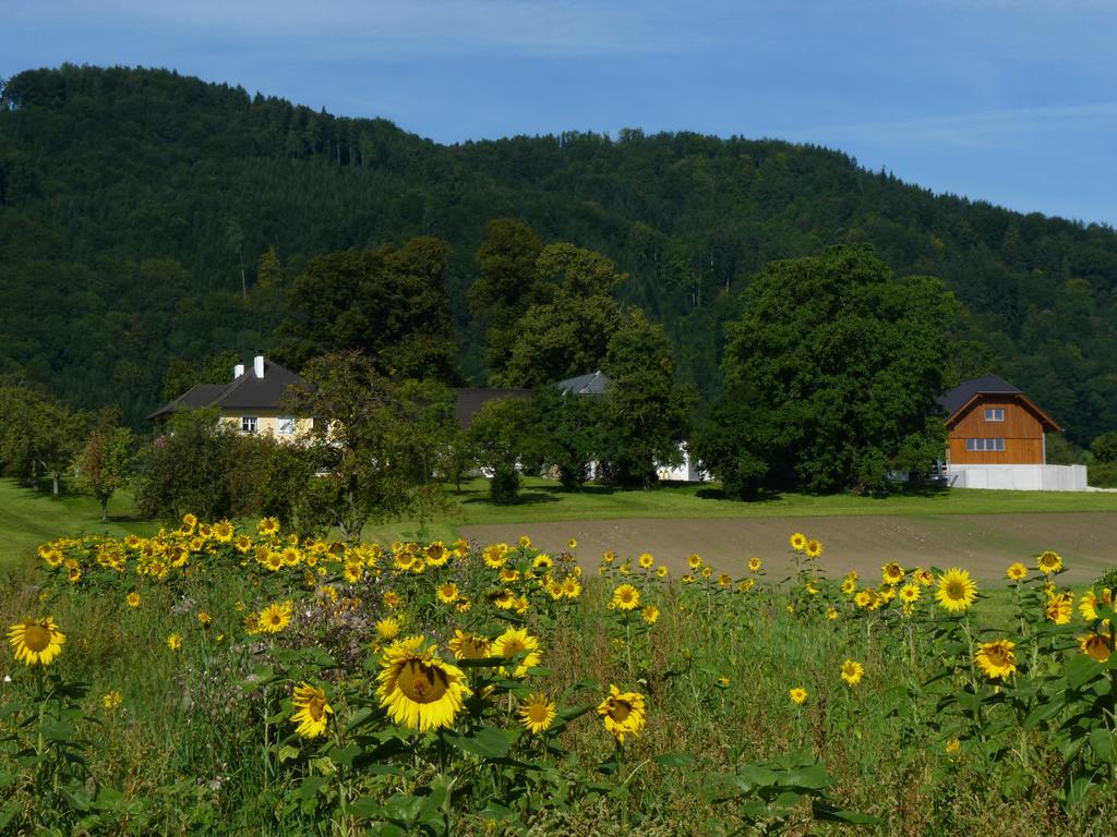 Landgut Wagnerfeld Διαμέρισμα Altmünster Εξωτερικό φωτογραφία
