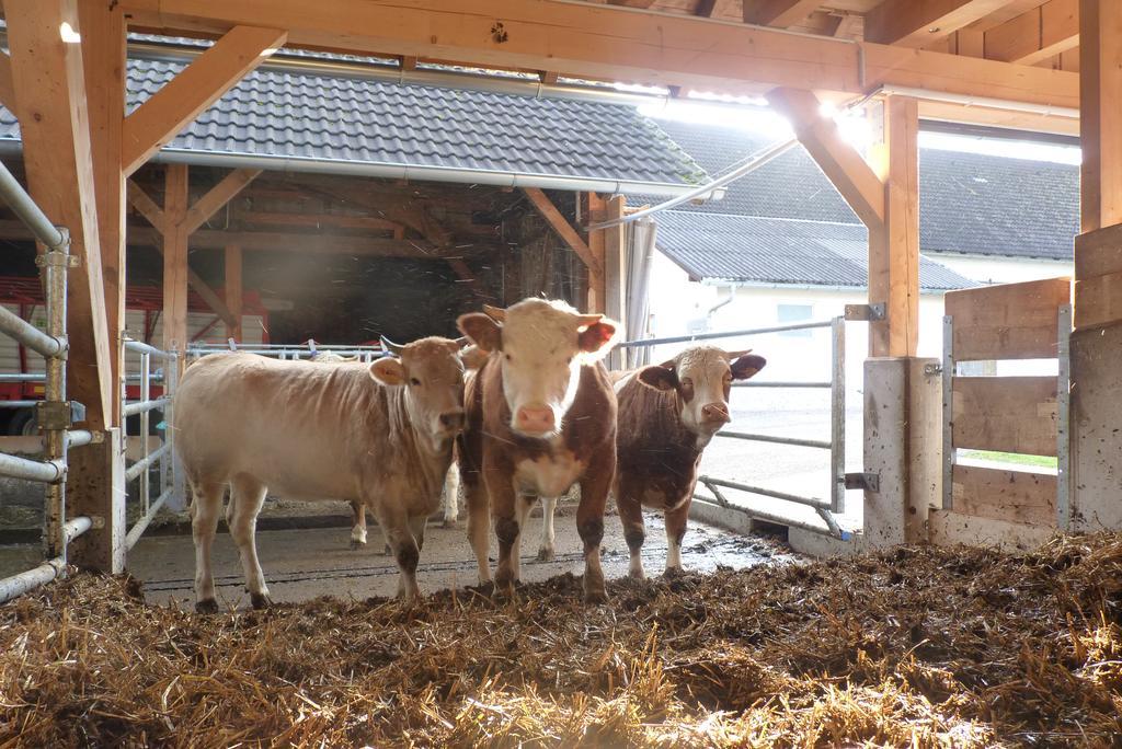 Landgut Wagnerfeld Διαμέρισμα Altmünster Εξωτερικό φωτογραφία