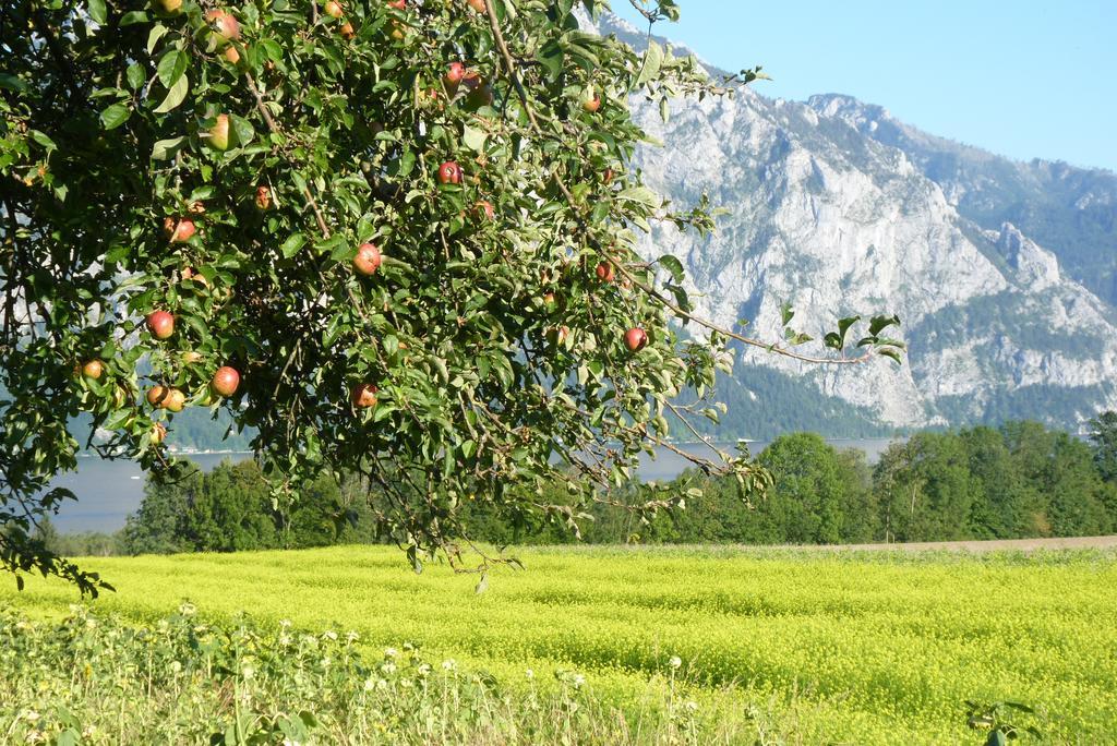 Landgut Wagnerfeld Διαμέρισμα Altmünster Εξωτερικό φωτογραφία